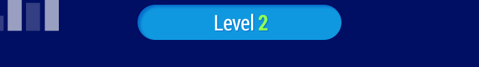 LEVEL2